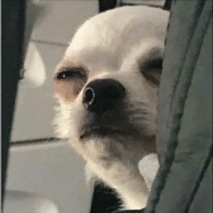 Meet your Posher, Cameron